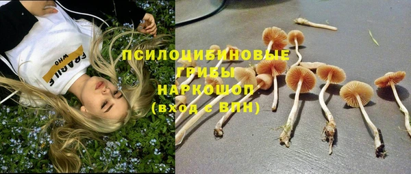 стаф Балахна