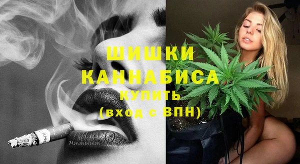 стаф Балахна